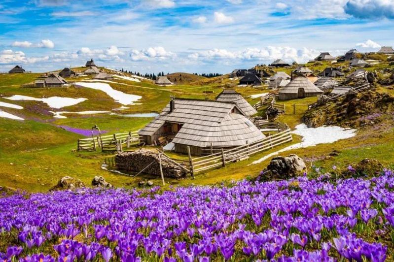 Lepa Lopa Resort Стаховиця Екстер'єр фото